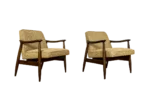 Pair of GFM-87 armchairs, designed by Juliusz Kędziorek, Gościcińska Fabryka Mebli, Poland, 1960s