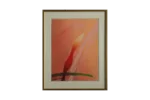 Screen print, Curt Hillfon, Amaryllis, 1960s