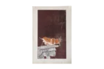 Colour lithograph, Ru van Rossem, Insect on Rock, 1962