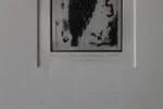 Engraving, Cactaceae, Blackversion, 1980s