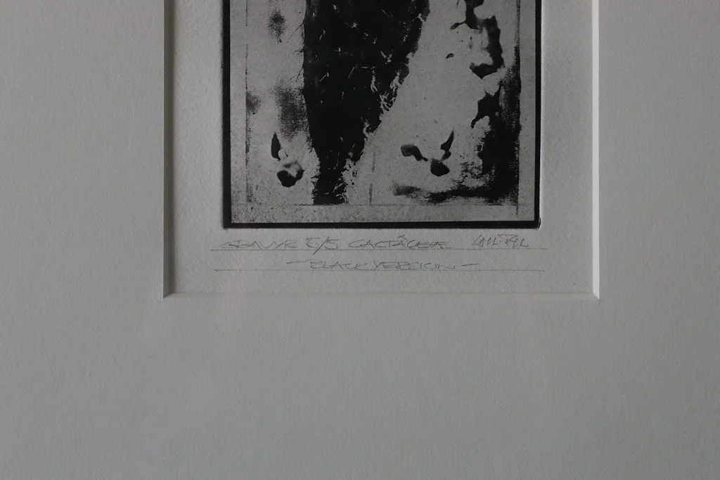 Engraving, Cactaceae, Blackversion, 1980s