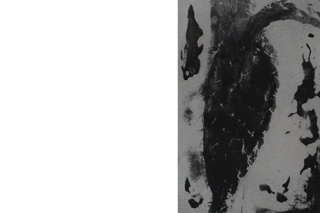 Engraving, Cactaceae, Blackversion, 1980s