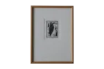 Engraving, Cactaceae, Blackversion, 1980s