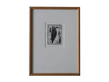 Engraving, Cactaceae, Blackversion, 1980s