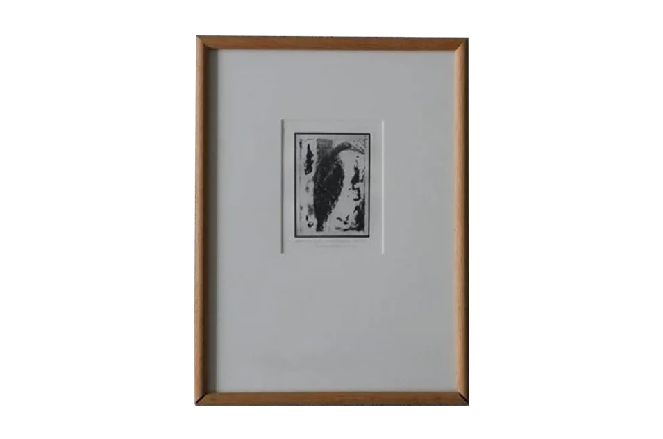 Engraving, Cactaceae, Blackversion, 1980s