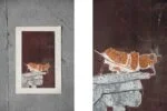 Colour lithograph, Ru van Rossem, Insect on Rock, 1962