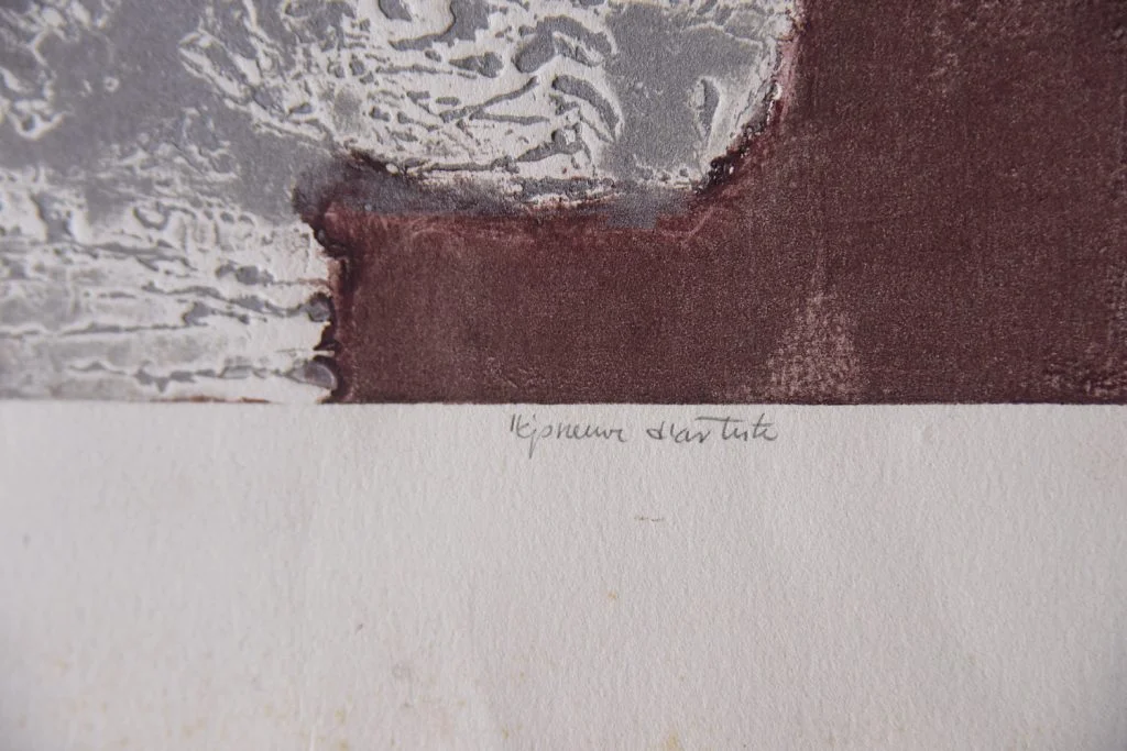 Colour lithograph, Ru van Rossem, Insect on Rock, 1962