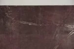 Colour lithograph, Ru van Rossem, Insect on Rock, 1962