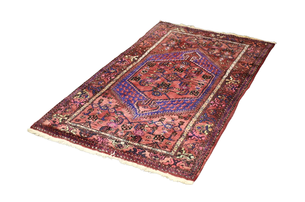 Hamadan Oriental Rug, Persia/Iran, 1960s