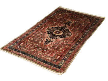 Zanjan Hamadan oriental rug, Persia/Iran, 1960s
