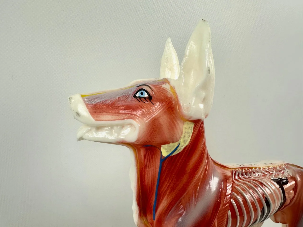 Acupuncture Model Dog, 1970s