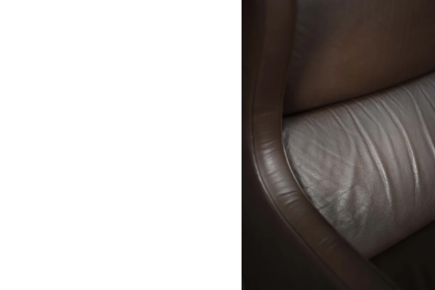 Modernist Leather Wing Chair, Denmark, 1960s