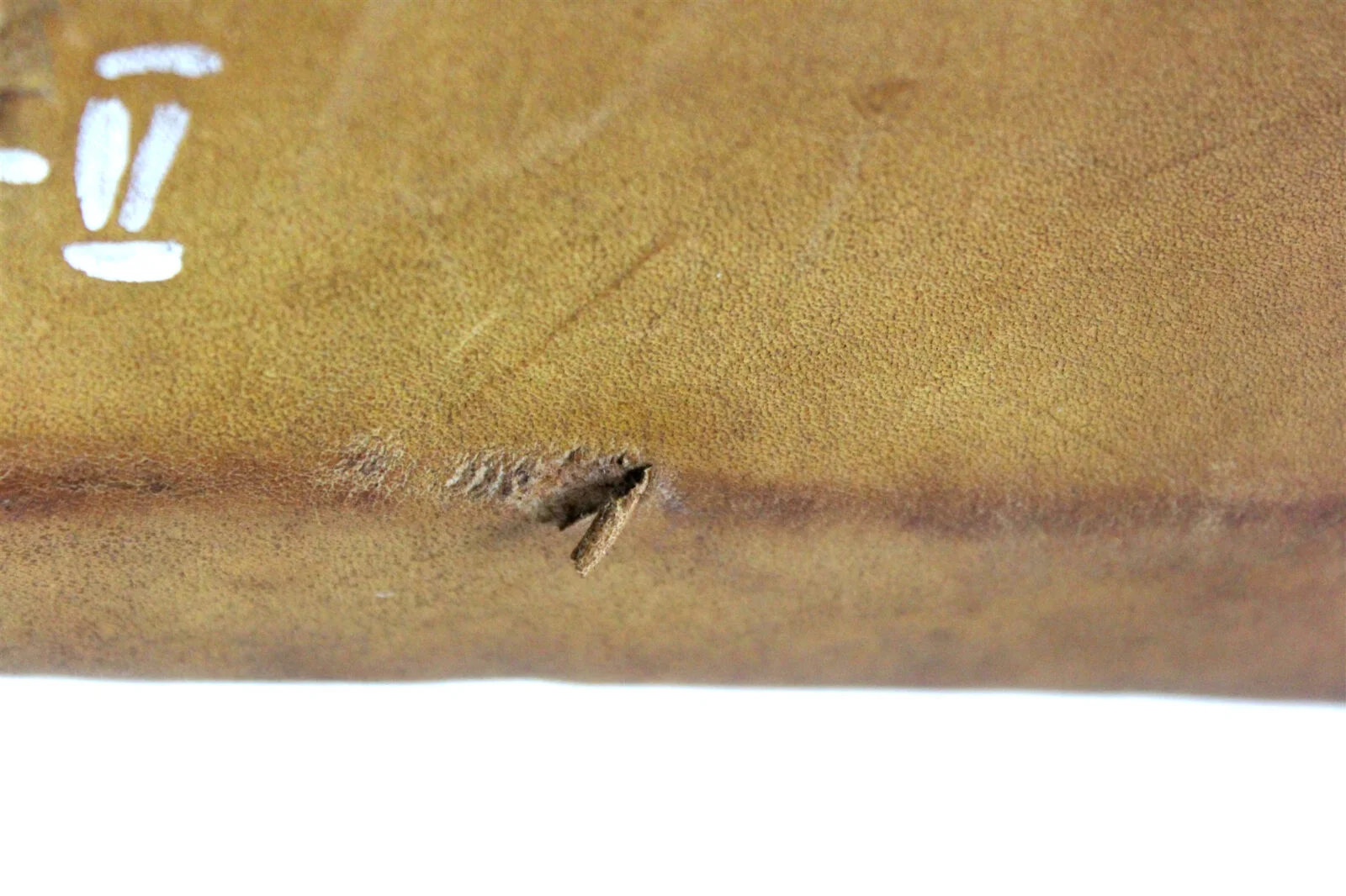 Vintage leather gymnastics horse, PRL, 1960s