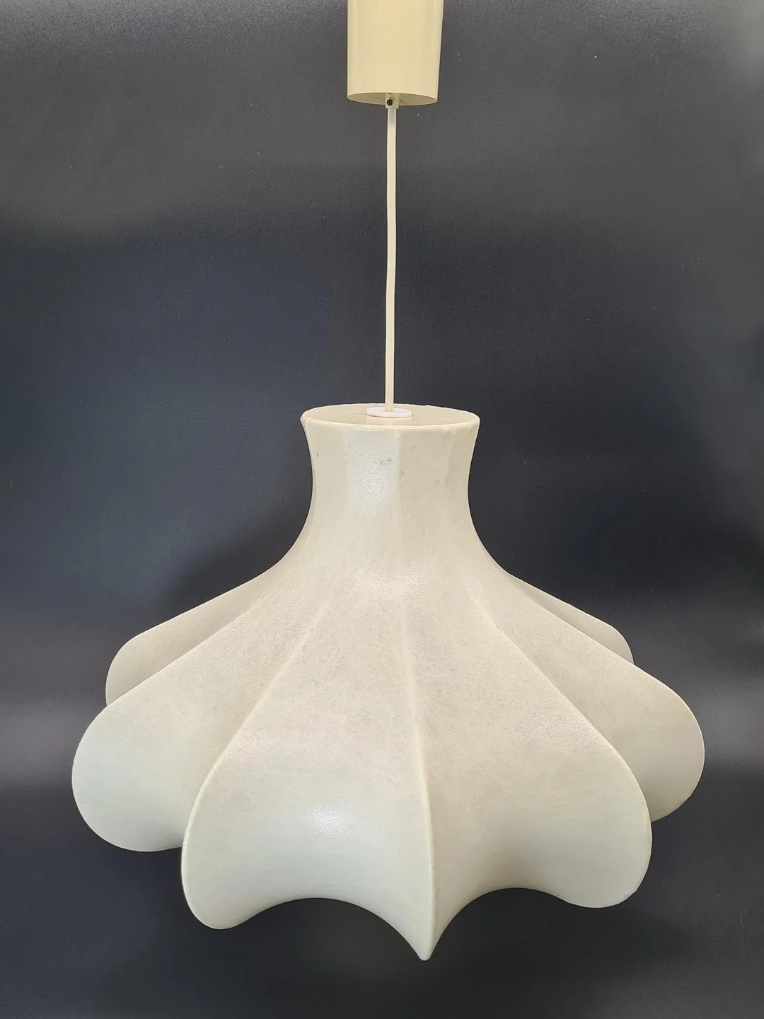 Cocoon Flower Lamp, Friedel Wauer, Goldkant Leuchten, Germany, 1960s