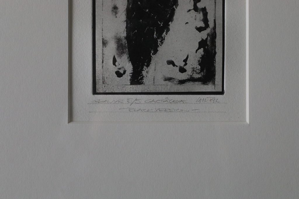 Grafika rytownicza, Cactaceae, Blackversion, lata 80