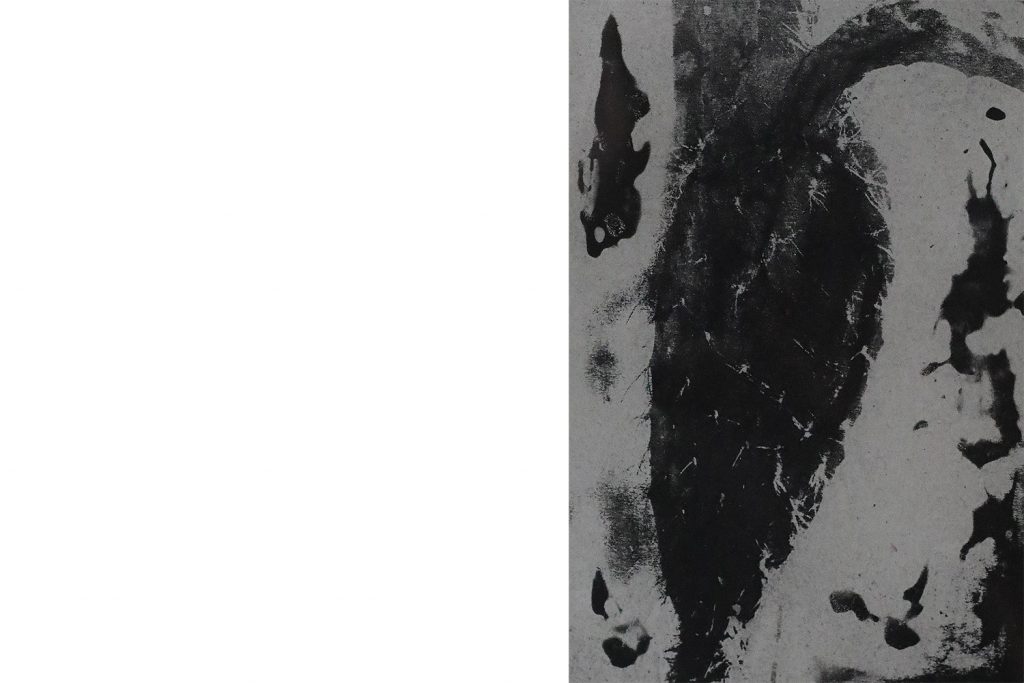 Grafika rytownicza, Cactaceae, Blackversion, lata 80