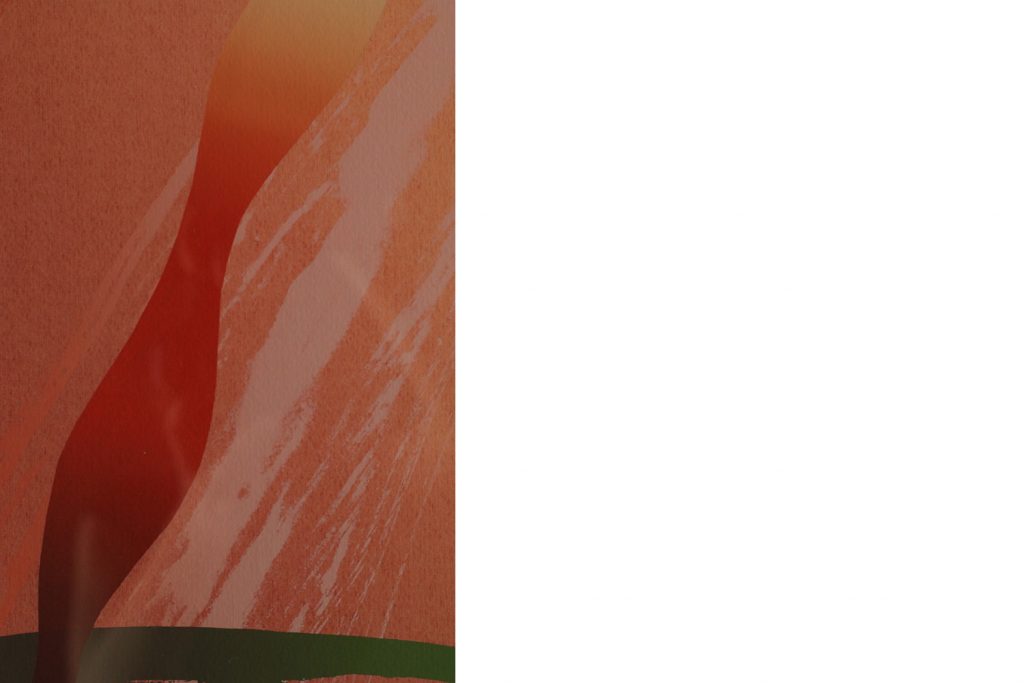 Serigrafia, Curt Hillfon, Amaryllis, lata 60