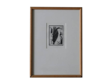 Grafika rytownicza, Cactaceae, Blackversion, lata 80