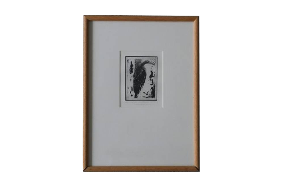 Grafika rytownicza, Cactaceae, Blackversion, lata 80