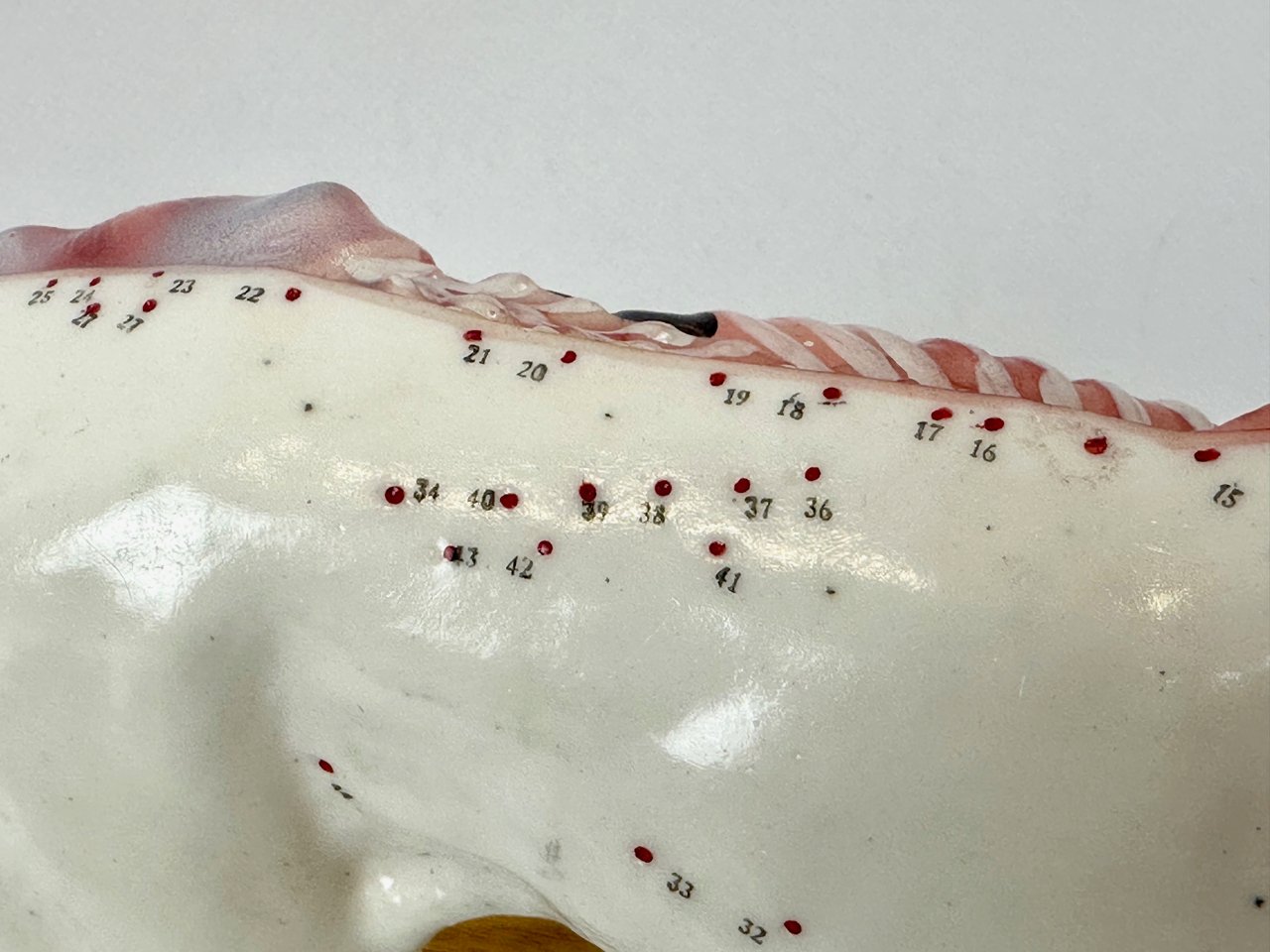 Model do akupunktury Pies, lata 70