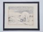 Polar bear, lithograph, Fridtjof Nansen, Norway, 1974