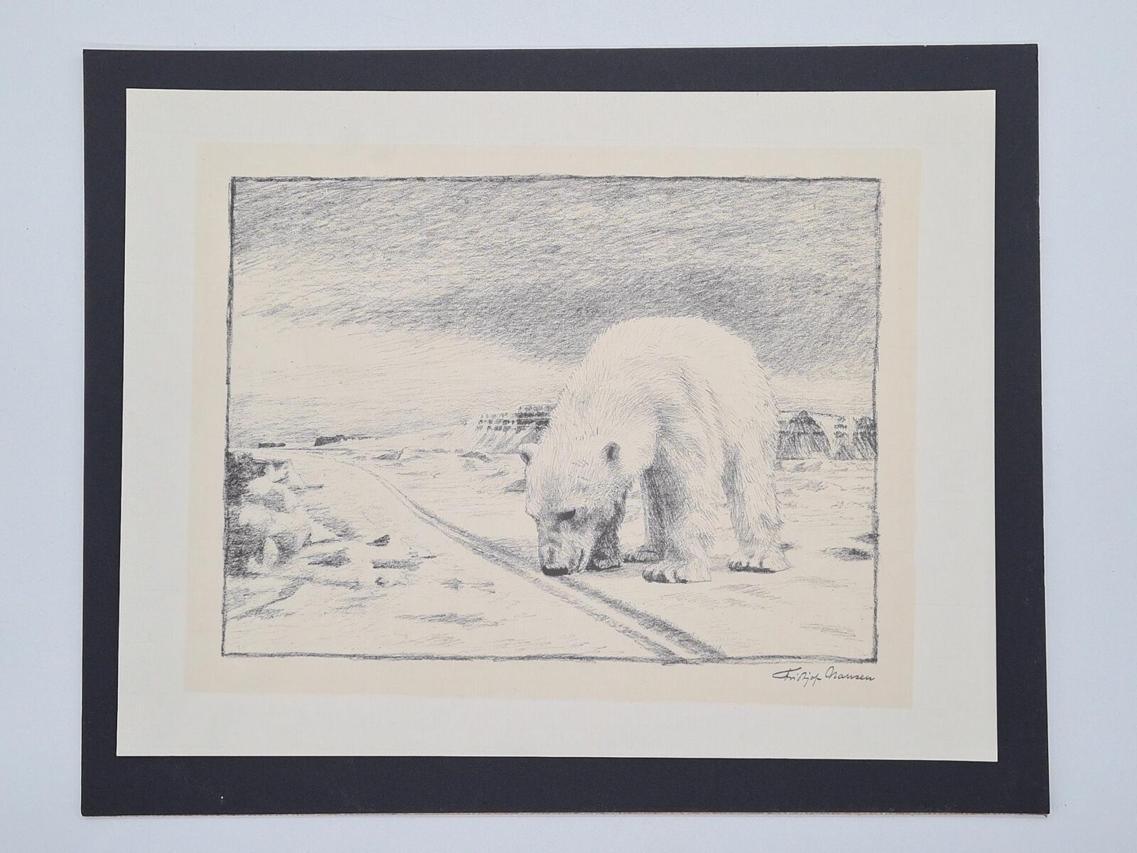 Polar bear, lithograph, Fridtjof Nansen, Norway, 1974