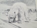 Polar bear, lithograph, Fridtjof Nansen, Norway, 1974