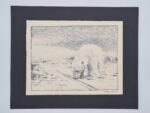 Polar bear, lithograph, Fridtjof Nansen, Norway, 1974
