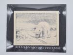 Polar bear, lithograph, Fridtjof Nansen, Norway, 1974
