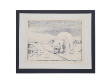 Niedźwiedź polarny, litografia, Fridtjof Nansen, Norwegia, 1974