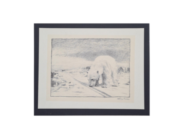 Niedźwiedź polarny, litografia, Fridtjof Nansen, Norwegia, 1974